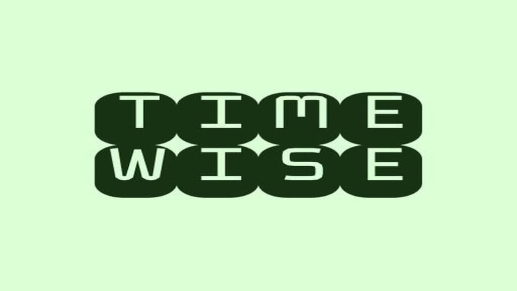 Timewise Year Wrapped App for Phone usage in 2024