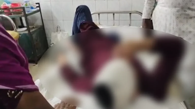 image_263003_1770116047