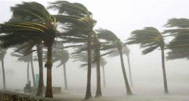 Screenshot_2026-03-09-09-23-05-976_com.android