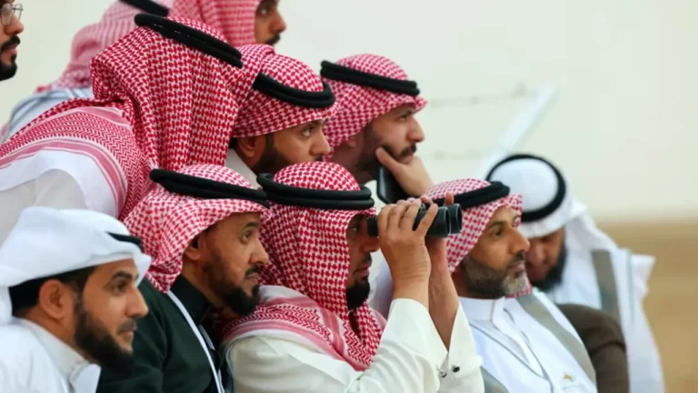 image_275278_1773847065