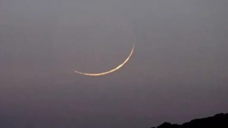 image_275480_1773925256